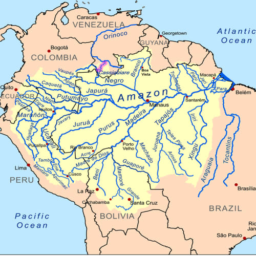 The Amazon River: Lifeblood of the Rainforest - Owlcation