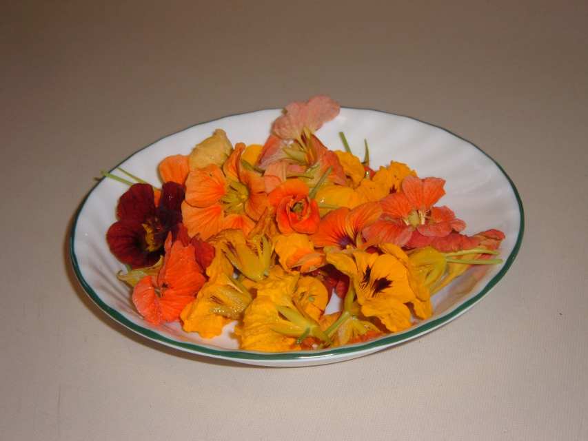 How to Make Nasturtium Jelly From Scratch Delishably