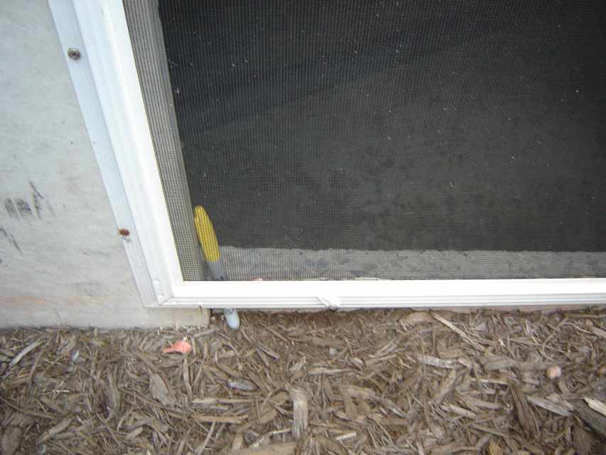 How to Keep Mice Out of Your House or Camper Dengarden
