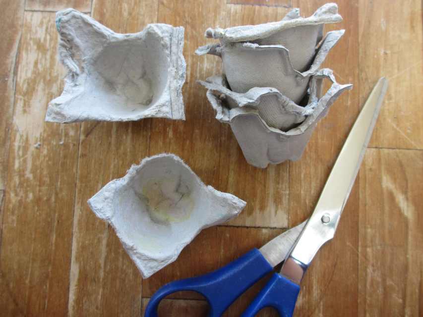 How to Start Seeds in Egg Cartons and Transplant Seedlings Dengarden