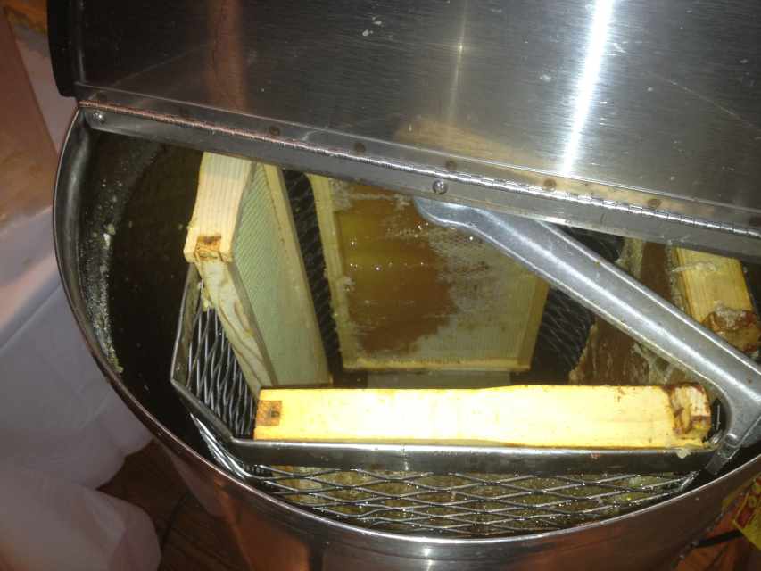 How to Harvest Honey From a Beehive Dengarden