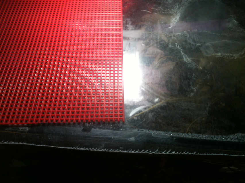 Aquarium Uses for Plastic Canvas (Mesh) Dividers and More PetHelpful