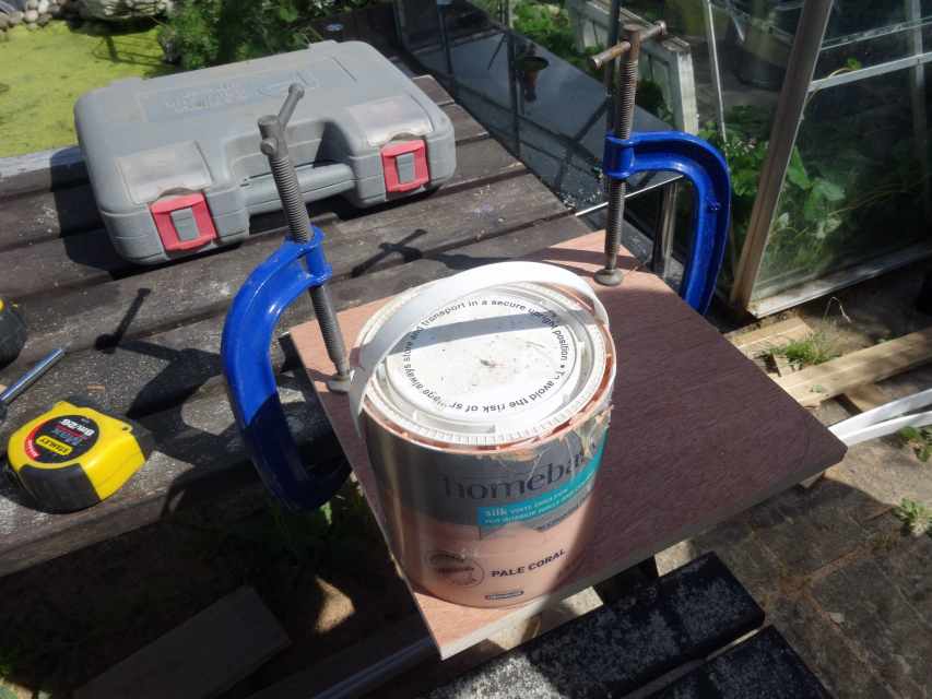 Guide to Making a Cat Highway and Cat Tree Fit for a Maine Coon