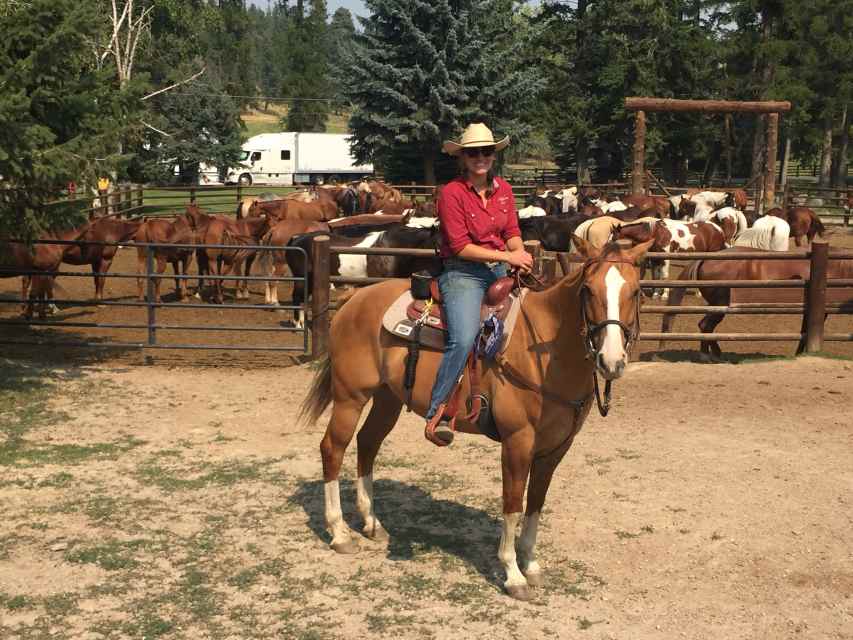 4 Ways a Wrangler Helped My Horsemanship PetHelpful