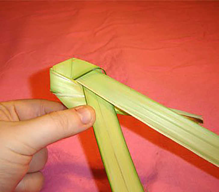 How to Make a Palm Rose for Palm Sunday Holidappy