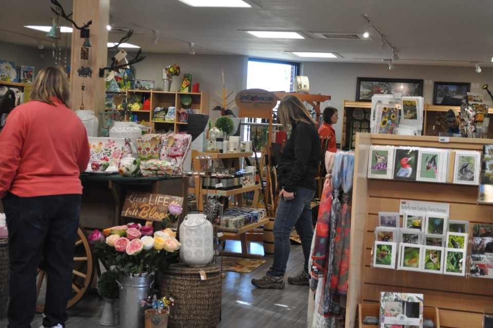 Butterfly Exhibit Dow Gardens in Midland Michigan WanderWisdom