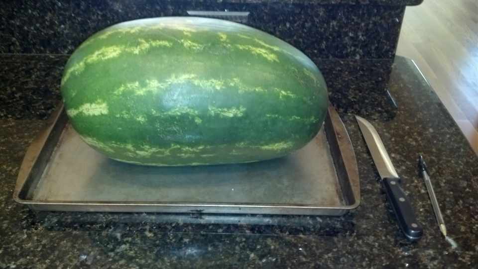 How to Make a Watermelon Baby Carriage A StepbyStep Guide HubPages