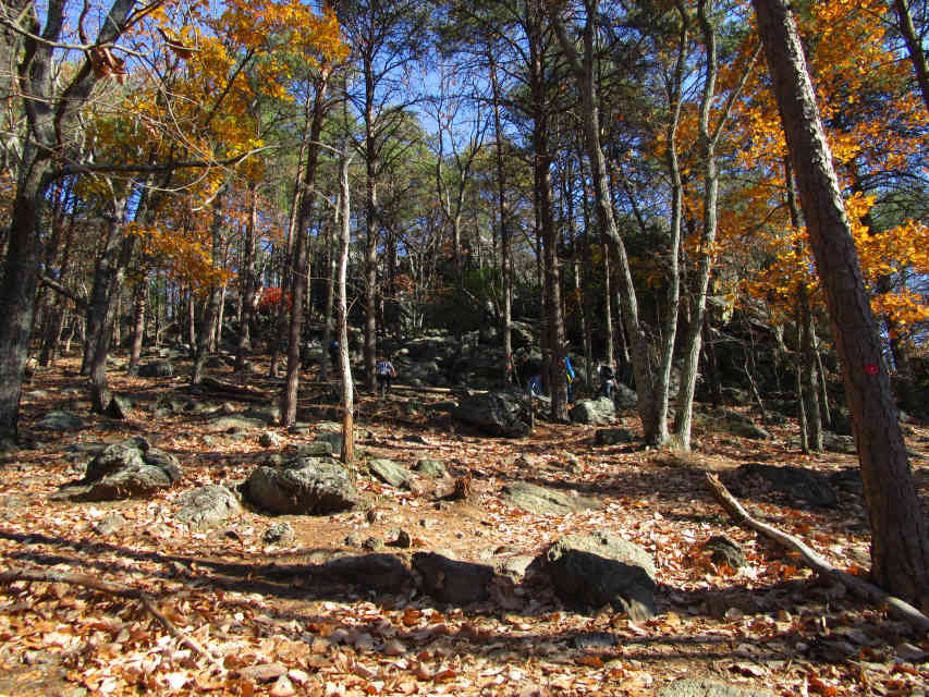 A Complete Guide to Crowders Mountain State Park, NC WanderWisdom