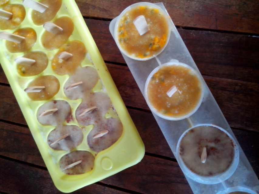 How to Make Popsicles WITHOUT Molds HubPages