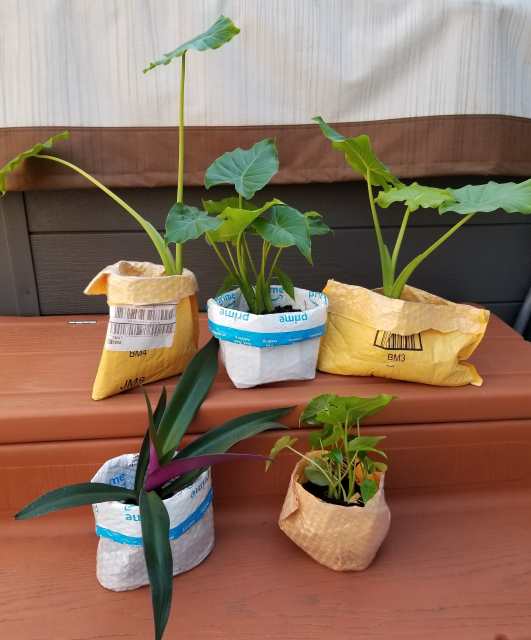Creative Ways to Repurpose and Recycle Amazon Packaging Dengarden