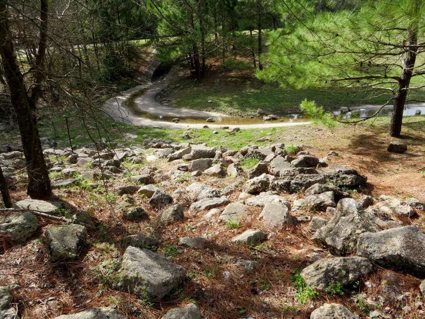 100 Acre Wood Preserve in Houston: A Photographic Journey - SkyAboveUs