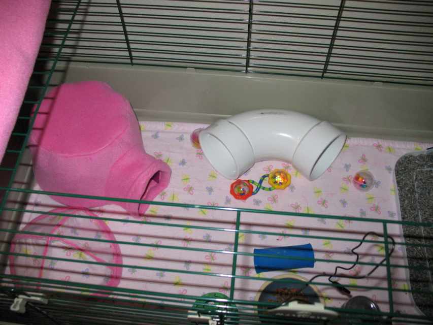 Housing a Pet Hedgehog Best Cages, Tanks, and Enclosures PetHelpful