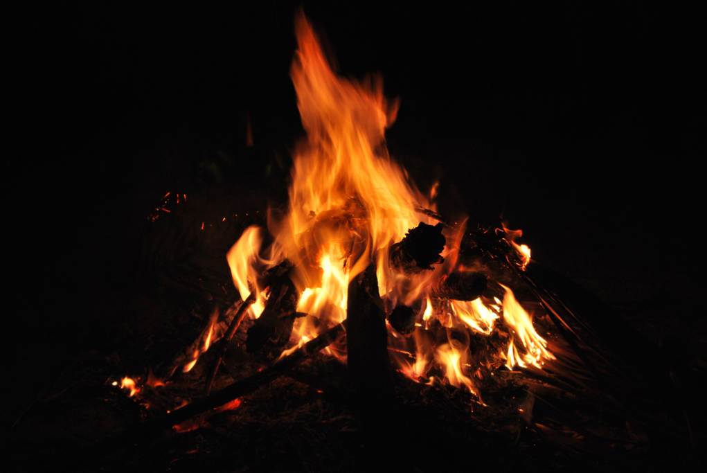 8 Fun and Spooky Ways to Celebrate Halloween at Home Holidappy