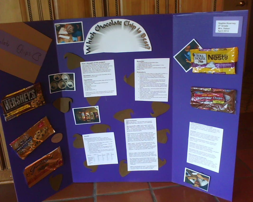 Science Fair Project: Which Chocolate Chip Tastes the Best? - Owlcation