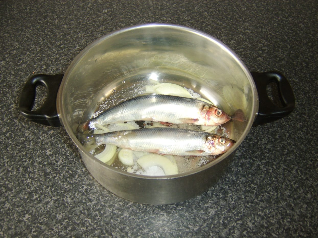 How to Cook Herring and Herring Recipes Delishably