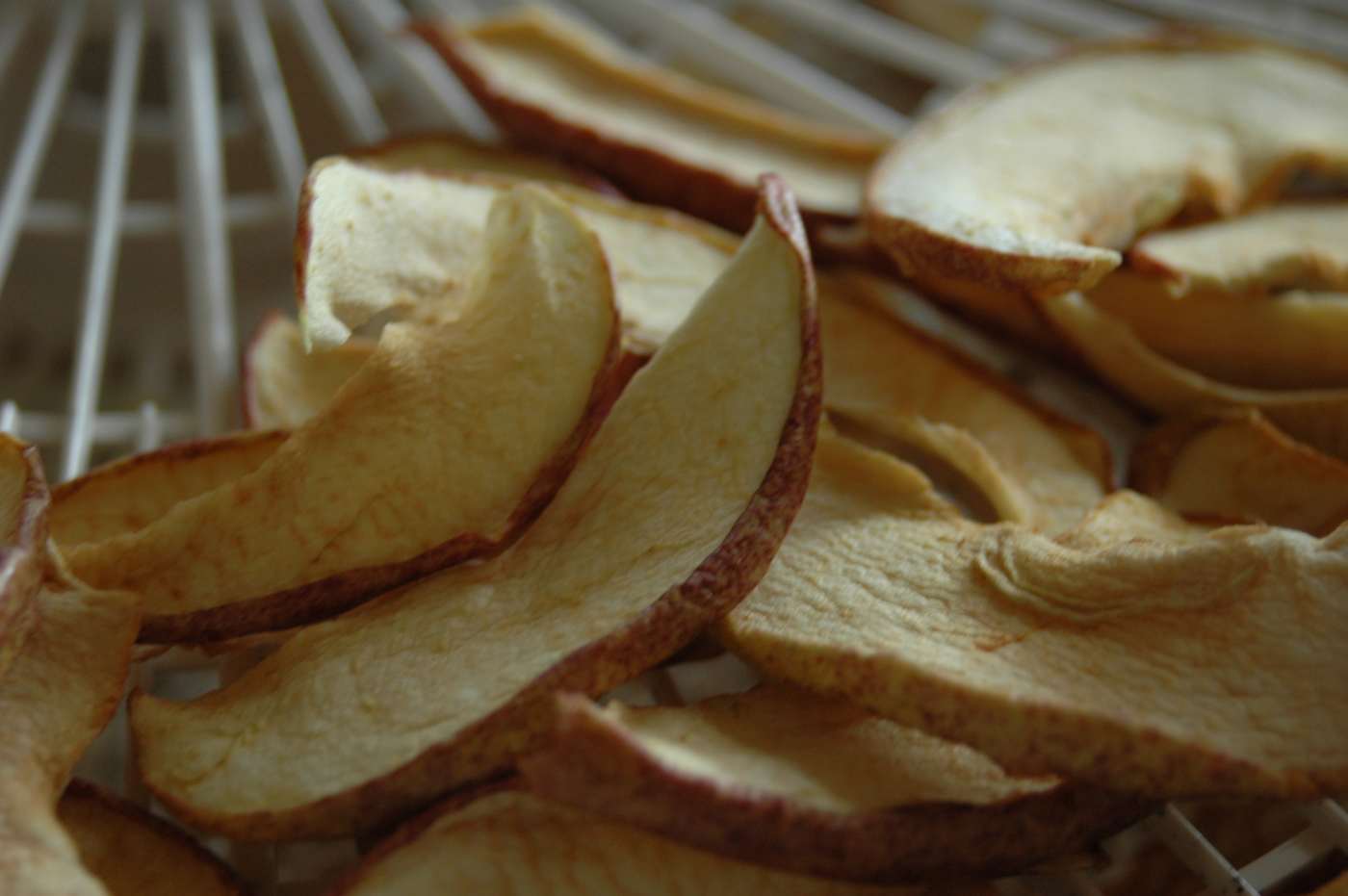 How to Dehydrate Your Own Food Delishably