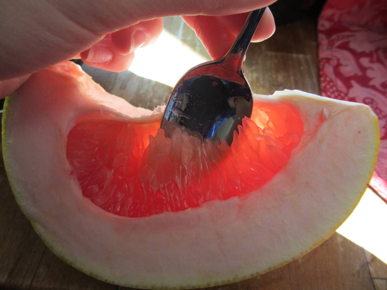 What Does a Pomelo Fruit Taste Like? Delishably Food and Drink