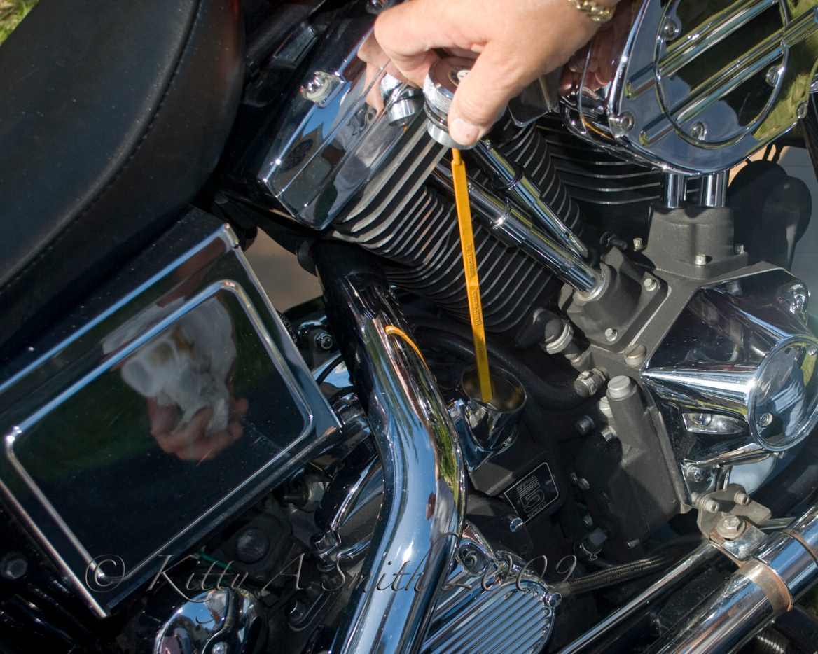 How to Change the Motor Oil in a Harley Davidson Low Rider AxleAddict
