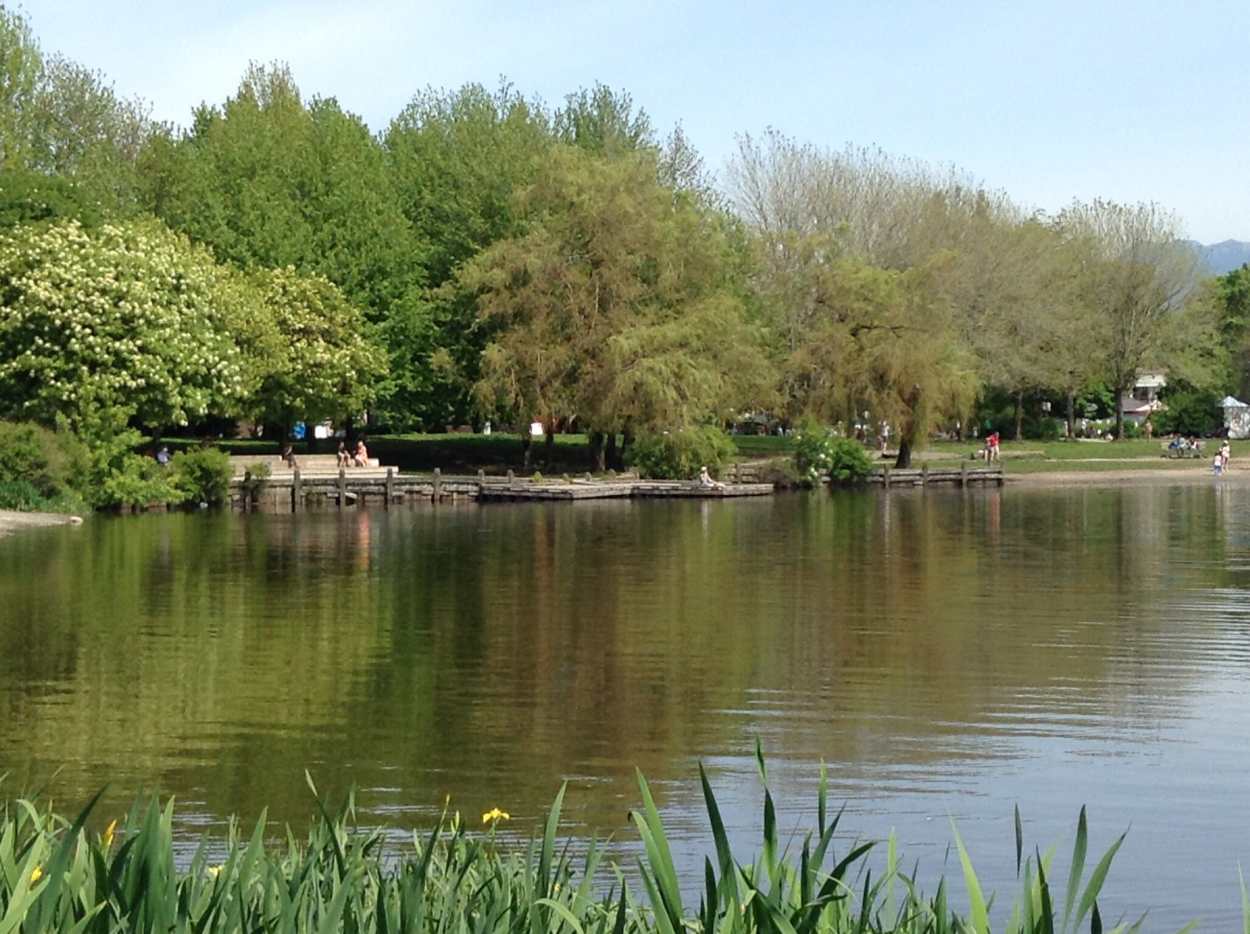Trout Lake Farmers Market and John Hendry Park in Vancouver WanderWisdom