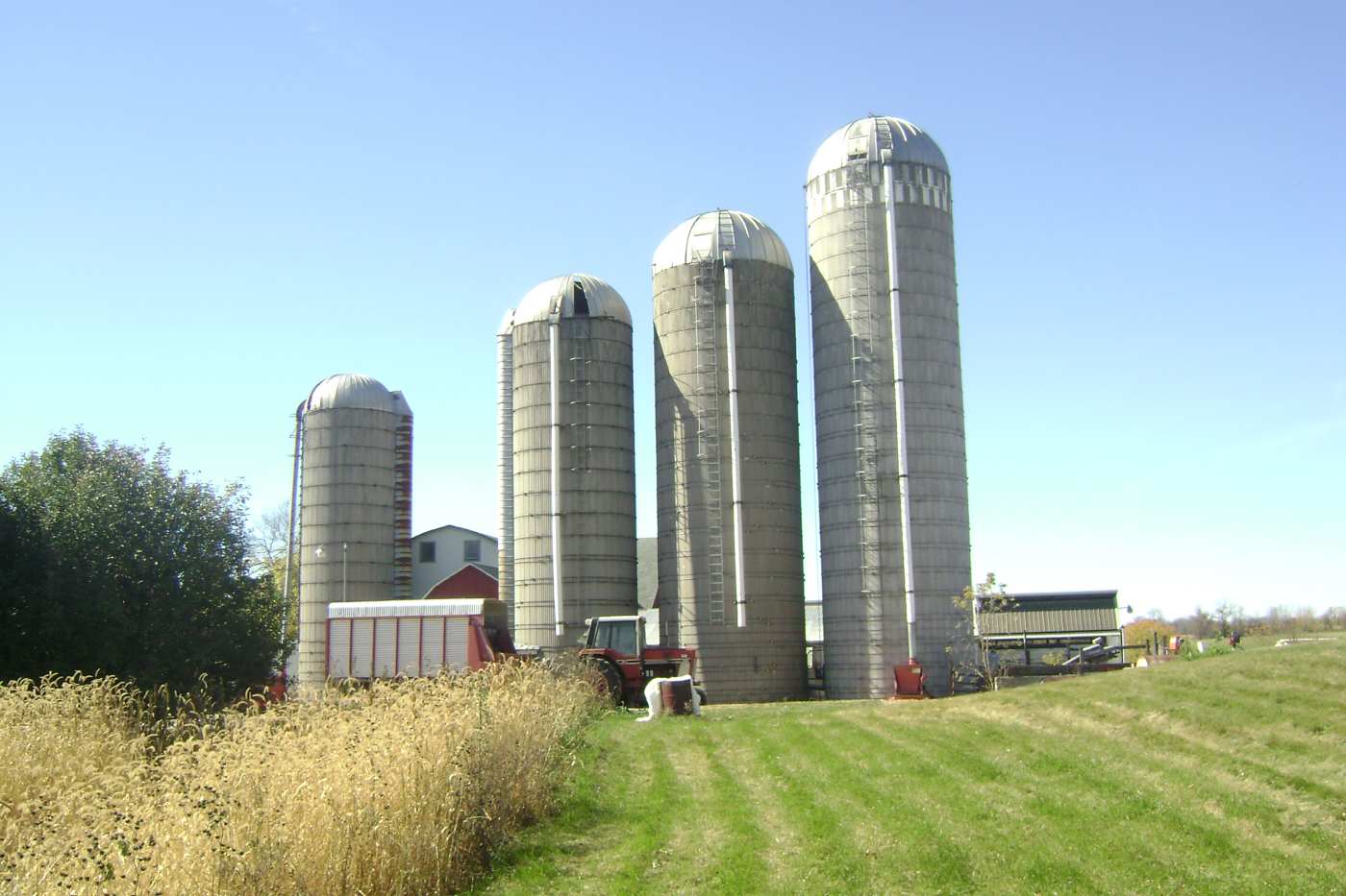 Dairy Farming in Wisconsin Feeding a Herd of Milk Cows PetHelpful