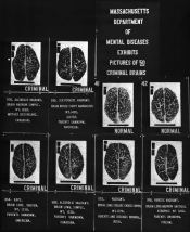 o imagine a unei imagini din anii 1920 care încearcă să asocieze tipurile de creier cu comportamentul criminal. Teoria se numește determinism biologic-ereditate, mai mult decât mediu sau educație, ideea a mers, a provocat probleme sociale.