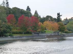 Places To Visit In Seattle: The Ballard Locks - WanderWisdom