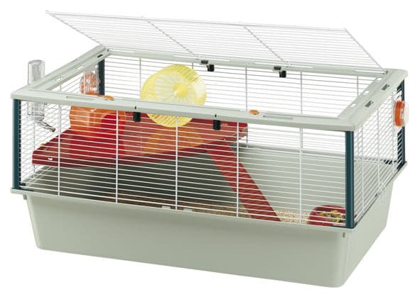 dwarf hamster scratching cage