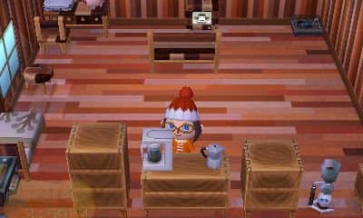 How To Decorate Your House In Animal Crossing New Leaf Levelskip Video Games
