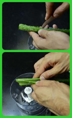How to Make Pure Aloe Vera Gel at Home - HubPages
