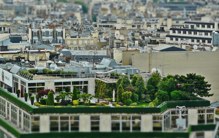 屋顶花园是可持续发展的，可以使建筑物在夏天保持凉爽。