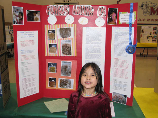 How To Do A Great Elementary Science Fair Project And Board Layout Wehavekids Family