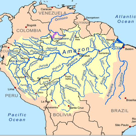 The Amazon River: Lifeblood of the Rainforest - Owlcation - Education