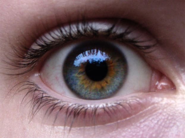 meer specifiek heb ik centrale heterochromie. Het verschil tussen groene en bruine ogen-Owlcation