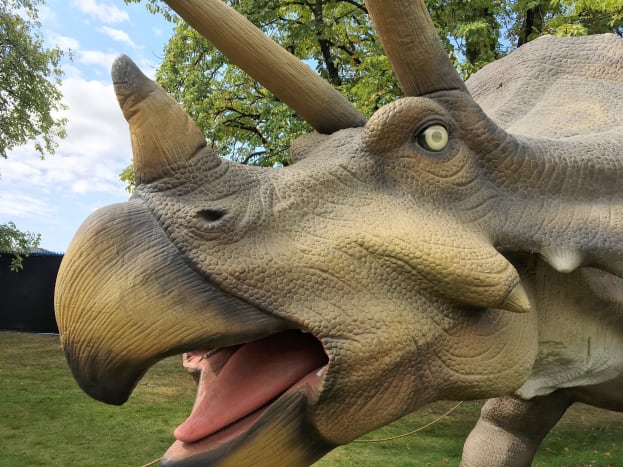 dinosaur like triceratops with 1 horn