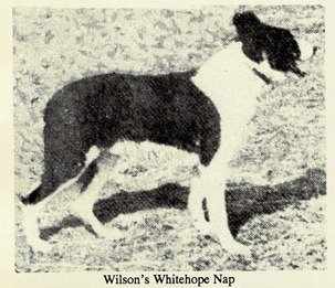 wiston cap