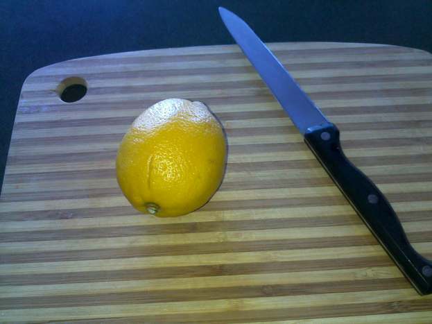 homemade flea collar for dogs