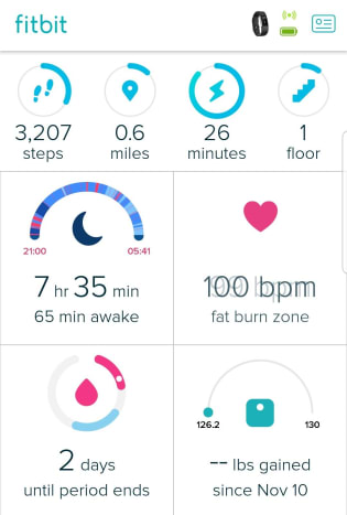 How Accurate Are Smart Scales? (Fitbit 