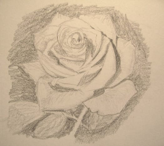 How To Draw A Rose Using A Grid Step By Step Feltmagnet