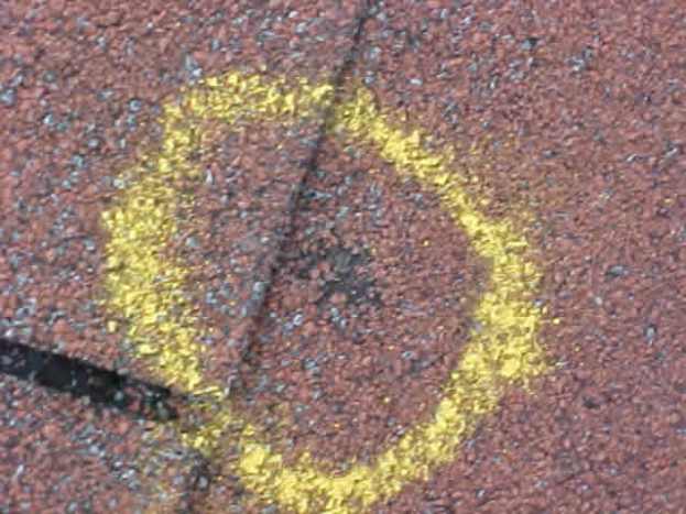Hail Damaged Shingle