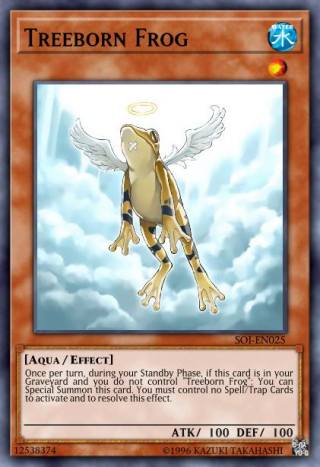 yugioh paleozoic frog deck Toys & Games Top 10 Support Cards for