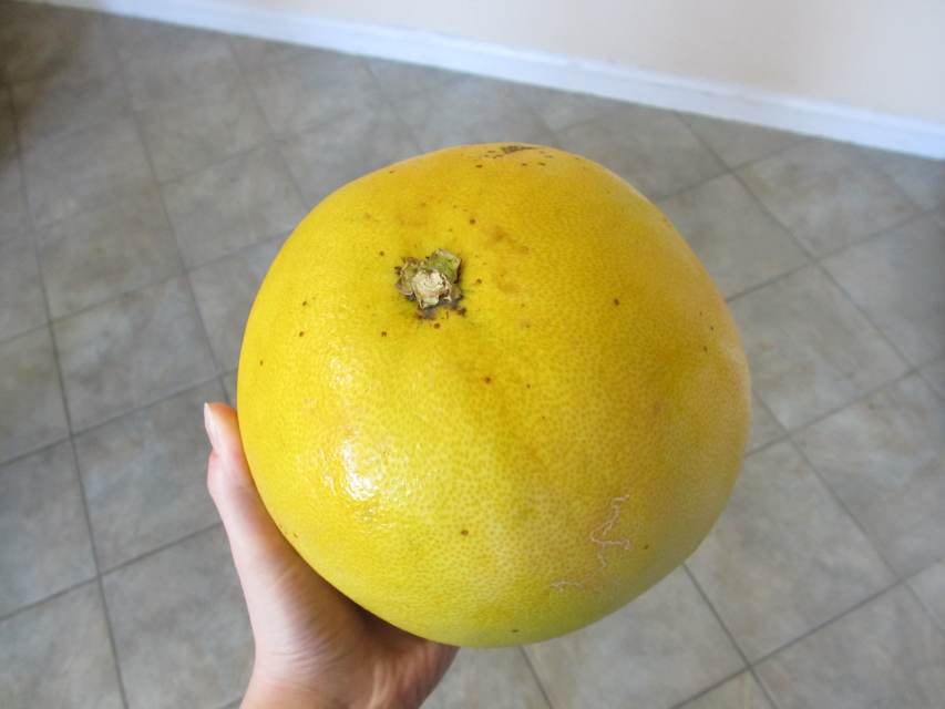 What Does a Pomelo Fruit Taste Like? Delishably
