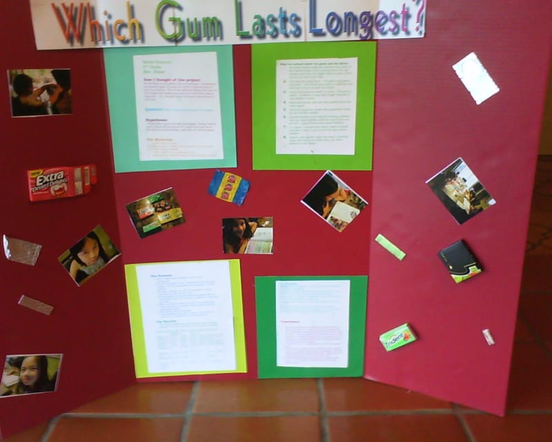 Science Fair Project Which Chewing Gum Lasts the Longest? WeHaveKids
