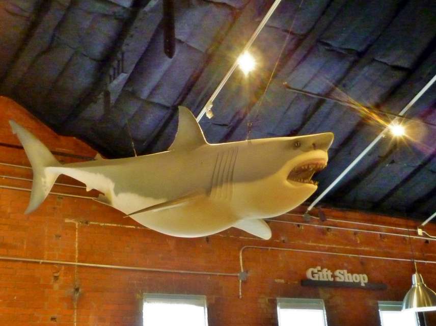 Houston Museum of Natural Science in Sugar Land WanderWisdom