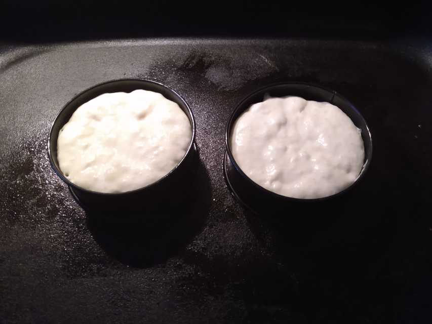 How to Make Australian Toaster Biscuits Delishably