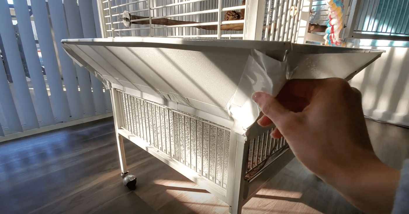 Easy Hacks to Help MessProof Your Bird Cage! PetHelpful