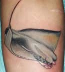 stingray-tattoos-and-designs-stingray-tattoo-meanings-tribal-stingray-tattoos-and-meanings