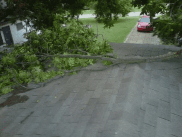 Large pecan branch on the garage roof.  It fell BEFORE it stormed. 
