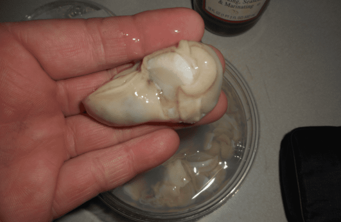 minnesota-cooking-oyster-stew