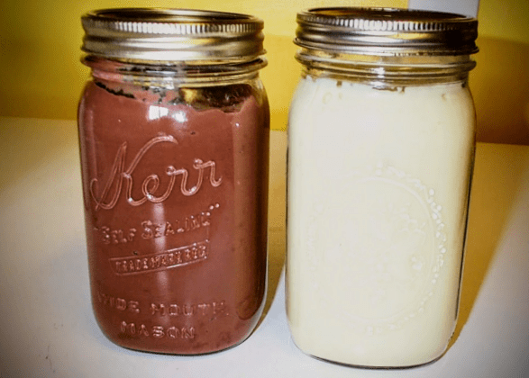 On the left is a dark chocolate variation using goat's milk, and flour as a thickener (I ran out of cornstarch!). On the right is traditional vanilla.