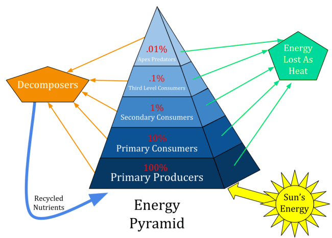 three-different-types-of-ecosystems-owlcation